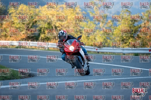 Passo della Futa E 11-10-25 h16-51 2577