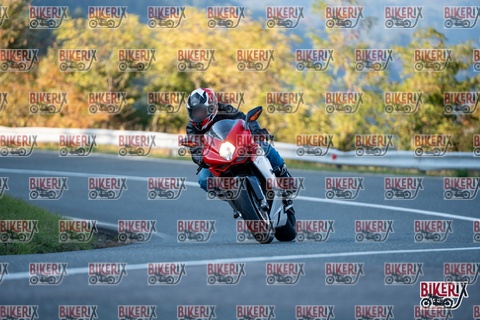 Passo della Futa E 11-10-25 h16-51 2578