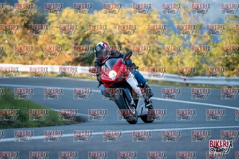 Passo della Futa E 11-10-25 h16-51 2579