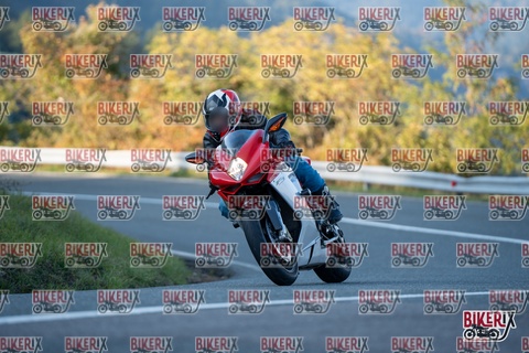 Passo della Futa E 11-10-25 h16-51 2580