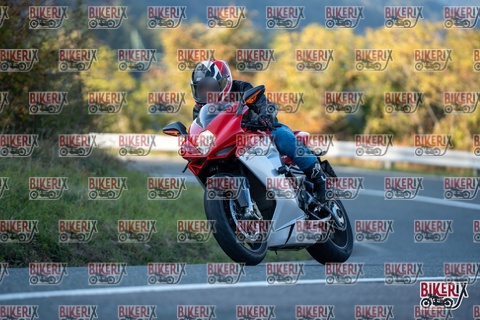 Passo della Futa E 11-10-25 h16-51 2582