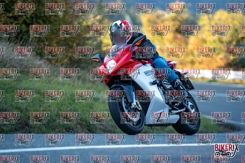 Passo della Futa E 11-10-25 h16-51 2583