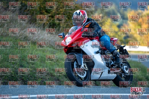 Passo della Futa E 11-10-25 h16-51 2584