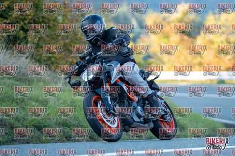 Passo della Futa E 11-10-25 h16-54 2591