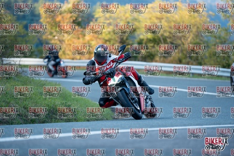 Passo della Futa E 11-10-25 h17-02 2610