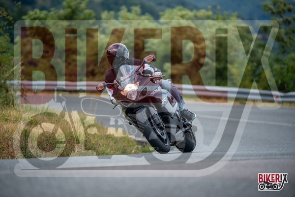 Passo della Futa E 13-07-25 h10-29 0272