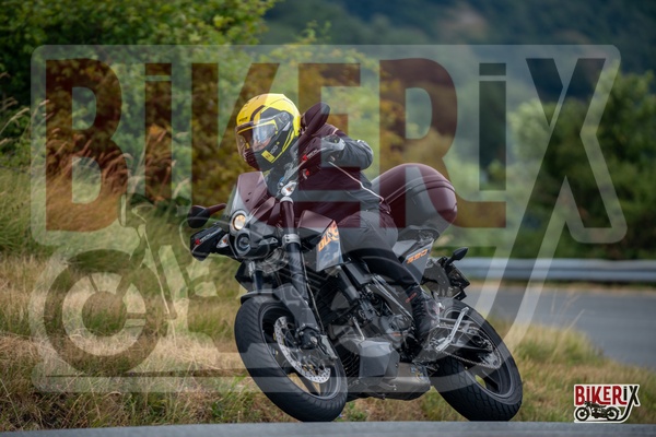 Passo della Futa E 13-07-25 h10-38 0367