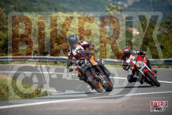 Passo della Futa E 13-09-25 h11-17 1311