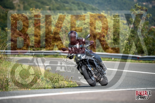 Passo della Futa E 13-09-25 h11-18 1313