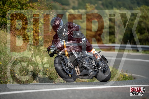 Passo della Futa E 13-09-25 h11-18 1359