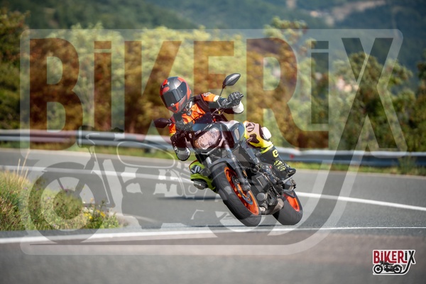 Passo della Futa E 13-09-25 h11-23 1404