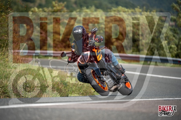 Passo della Futa E 13-09-25 h11-24 1421