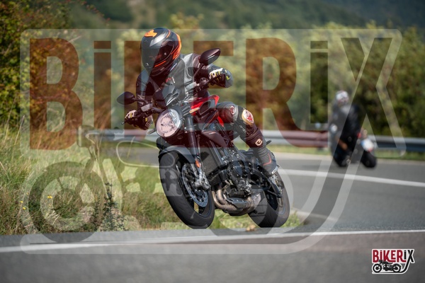 Passo della Futa E 13-09-25 h11-27 1459