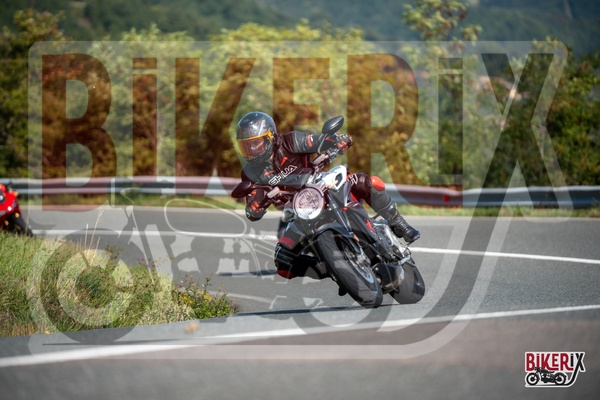 Passo della Futa E 13-09-25 h11-28 1490