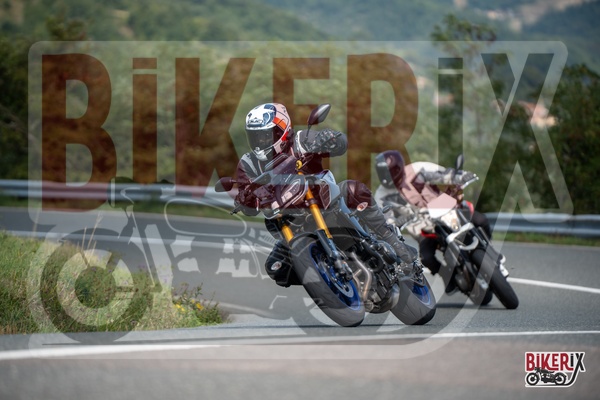 Passo della Futa E 13-09-25 h12-14 2049