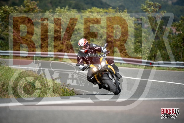 Passo della Futa E 13-09-25 h12-34 2243