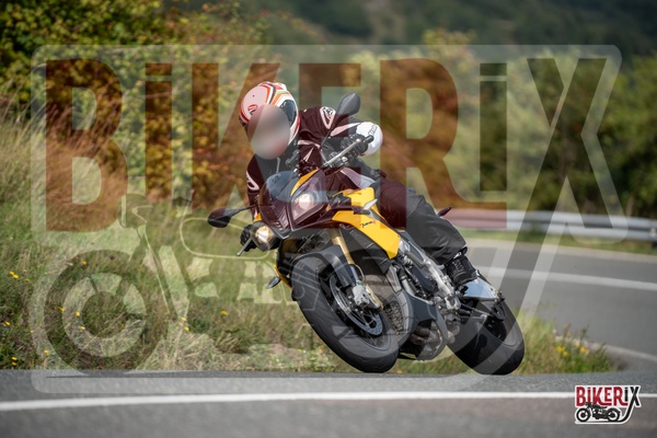 Passo della Futa E 13-09-25 h12-34 2248