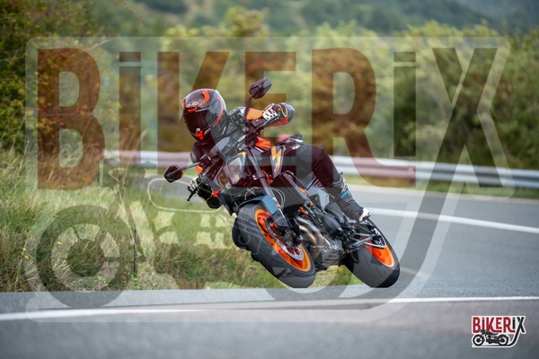 Passo della Futa E 13-09-25 h12-50 2395