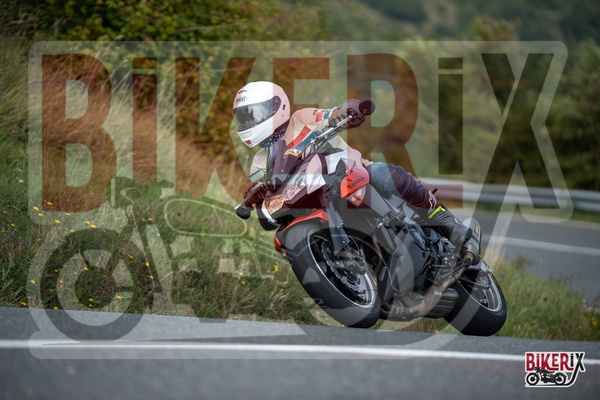 Passo della Futa E 13-09-25 h12-50 2404