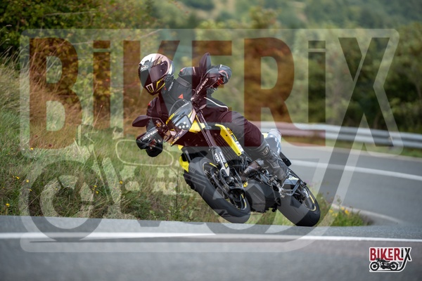 Passo della Futa E 13-09-25 h12-54 2425