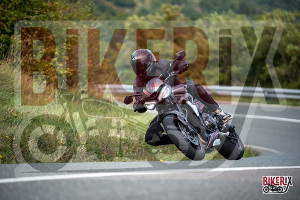 Passo della Futa E 13-09-25 h12-55 2438