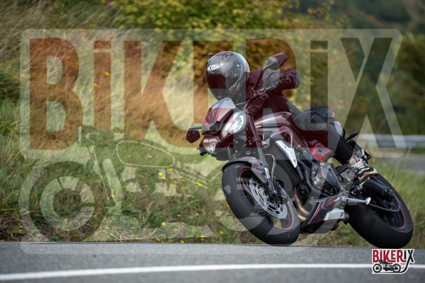 Passo della Futa E 13-09-25 h12-55 2440