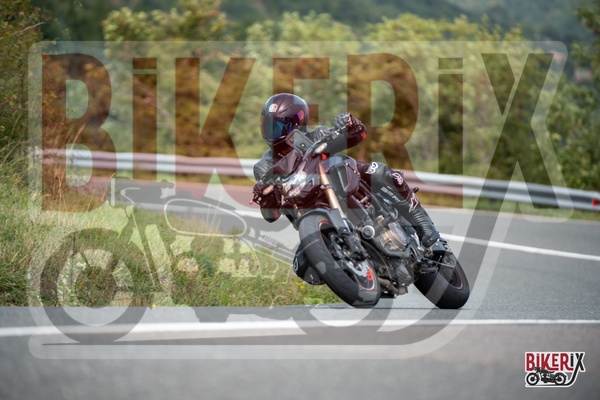 Passo della Futa E 13-09-25 h13-01 2521