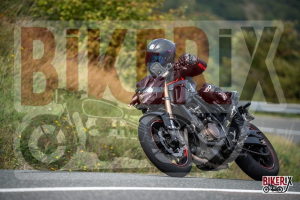 Passo della Futa E 13-09-25 h13-01 2523