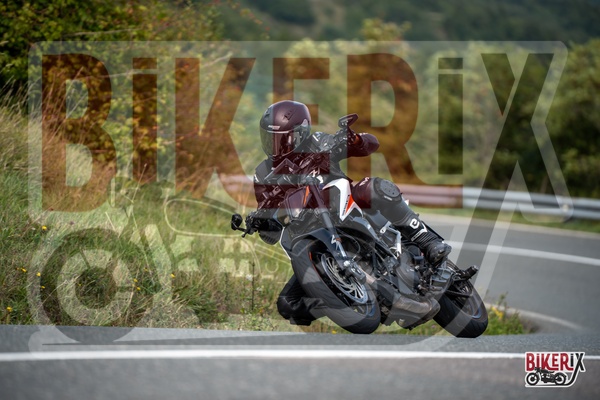 Passo della Futa E 13-09-25 h13-01 2530