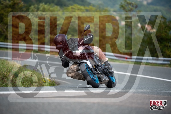 Passo della Futa E 13-09-25 h13-02 2541