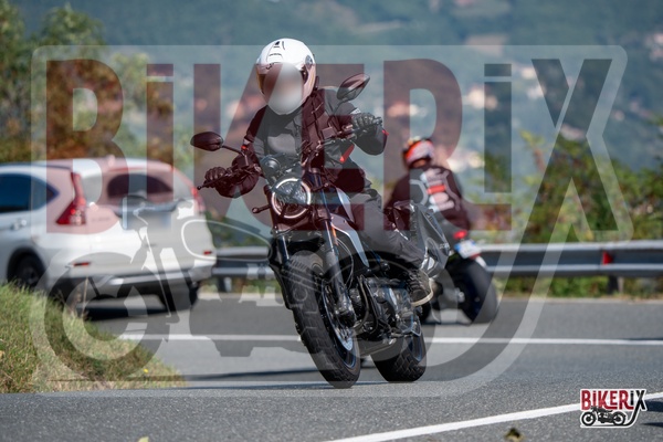 Passo della Futa E 21-09-25 h12-08 0882