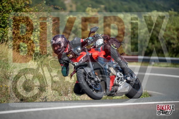 Passo della Futa E 31-08-25 h11-07 1020