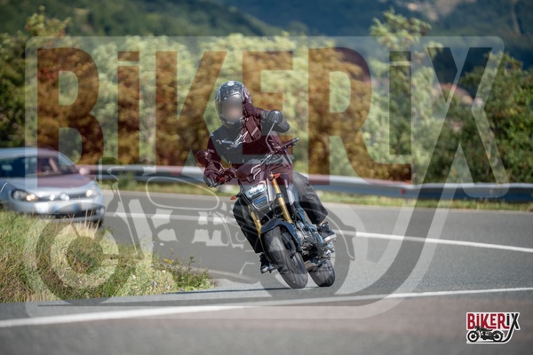 Passo della Futa E 31-08-25 h11-09 1067