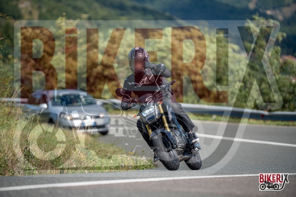 Passo della Futa E 31-08-25 h11-09 1068