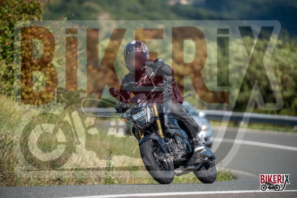 Passo della Futa E 31-08-25 h11-09 1070