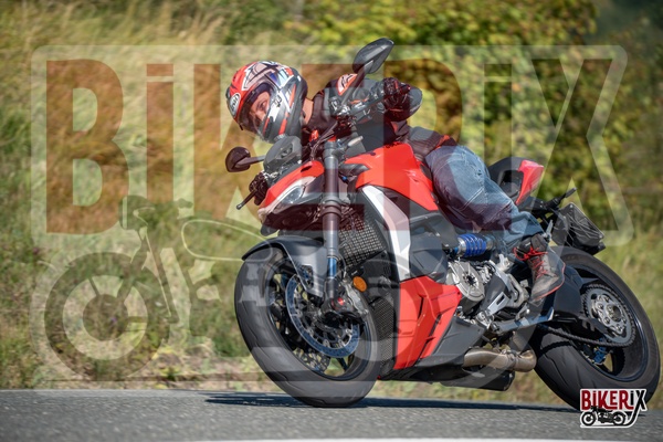 Passo della Futa E 31-08-25 h11-31 1342