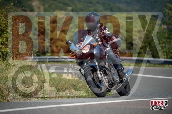 Passo della Futa E 31-08-25 h11-42 1539