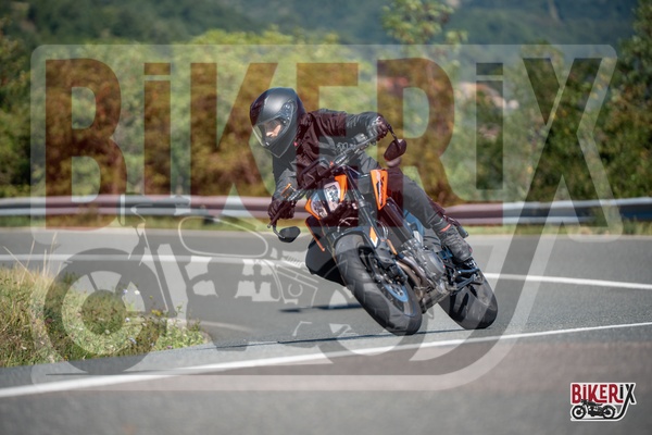 Passo della Futa E 31-08-25 h11-59 1818