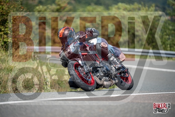 Passo della Futa E 31-08-25 h12-38 2428