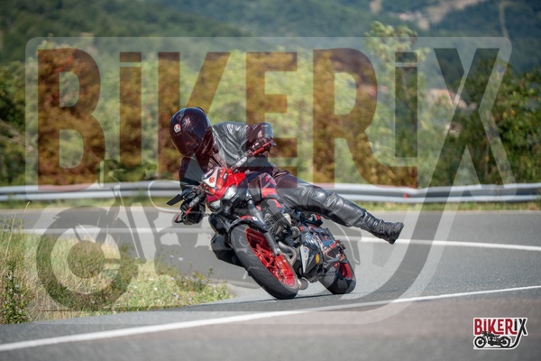 Passo della Futa E 31-08-25 h12-40 2462