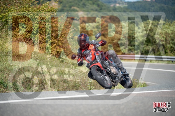 Passo della Futa E 31-08-25 h12-42 2484