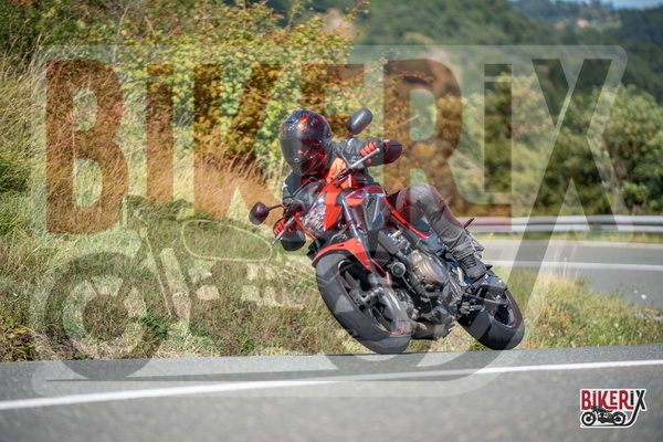 Passo della Futa E 31-08-25 h12-42 2485