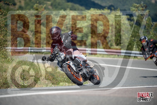 Passo della Futa E 31-08-25 h12-55 2611