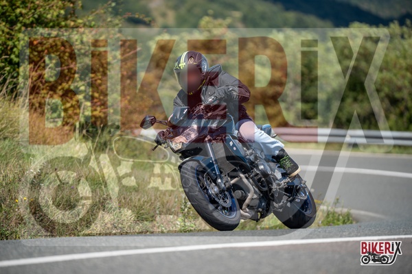 Passo della Futa E 31-08-25 h12-57 2649