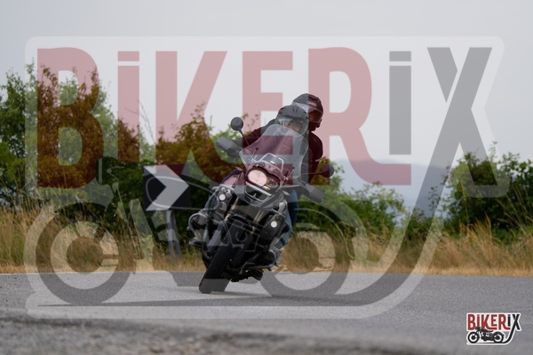 Passo della Futa T 13-07-25 h10-26 0223