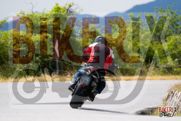 Passo della Futa T 13-07-25 h10-52 0294
