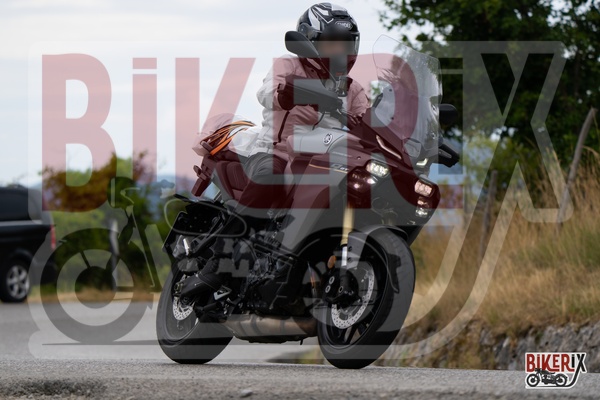Passo della Futa T 13-07-25 h11-23 0353