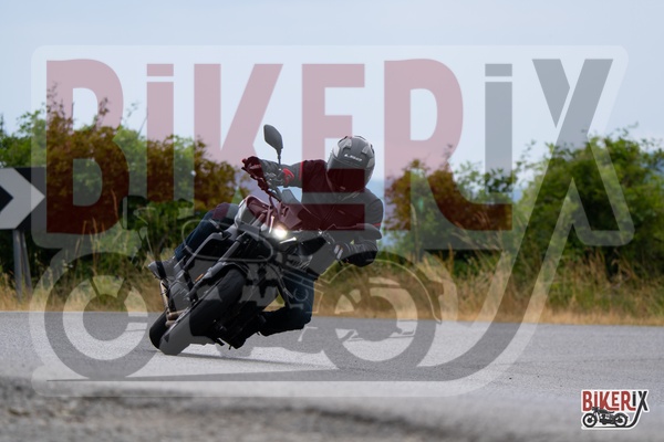Passo della Futa T 13-07-25 h11-59 0429