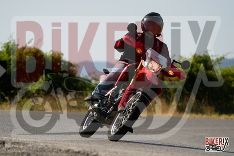 Passo della Futa T 20-07-25 h09-33 0151