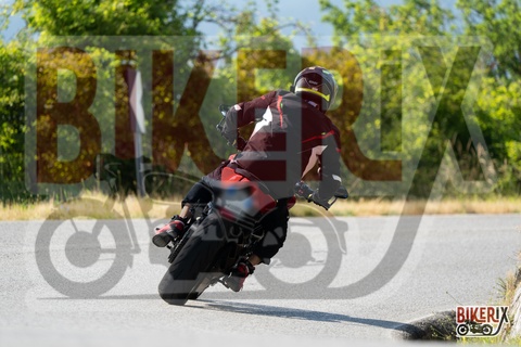 Passo della Futa T 20-07-25 h09-45 0224